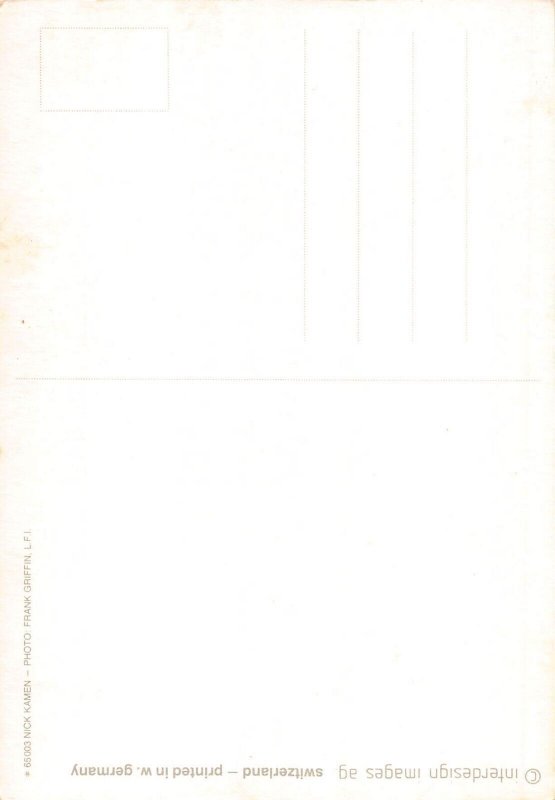 L291 Music Singer Pop rock Nik Kamen postcard