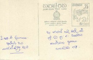 Entier Postal Stationery Postal Sri Lanka Ceylon Lion