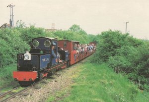 Norfolk Hero Train at Walsingham Wells Light Railway Postcard