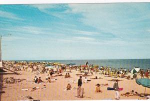 Delaware Greetings From Rehoboth Beach Sunbathers