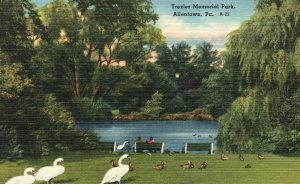 Vintage Postcard Trexler Memorial Park Allentown Pennsylvania PA Mebane Greeting