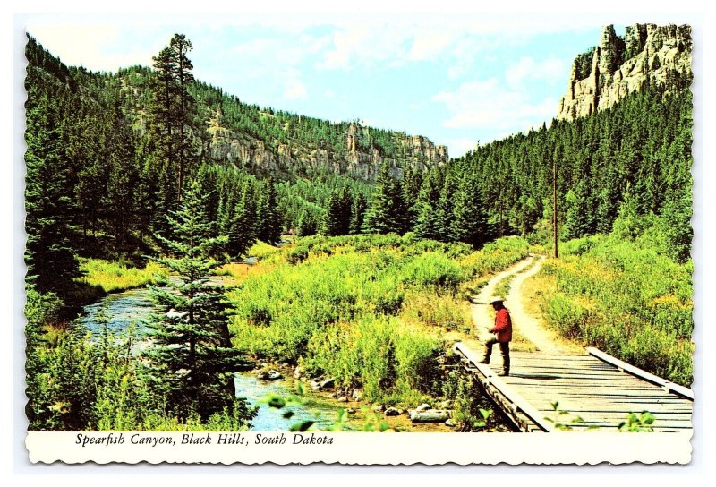 Spearfish Canyon Black Hills South Dakota Continental View Postcard Fisherman
