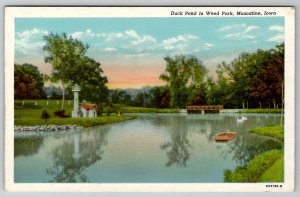 Muscatine Iowa Duck Pond in weed Park Postcard D30
