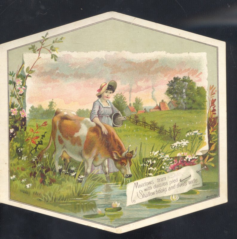 TOLEDO OHIO WOOLSON SPICE COMPANY LION COFFEE COW IN WATER VICTORIAN TRADE CARD