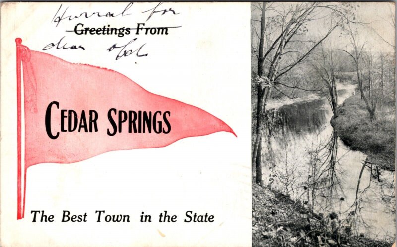 Postcard Pennant Flag Cedar Springs, Michigan Travel Advertising Greetings