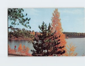 Postcard Minnesota's Water Wonderland Autumn Scene Minnesota USA