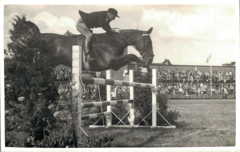 Horse Sports Equestrian sport Horses RPPC 03.23