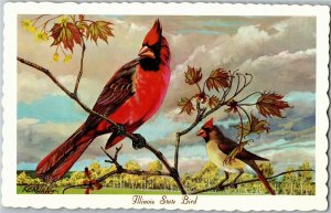 Cardinal, Illinois State Bird Artist Ken Haag Postcard B62