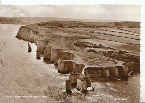 Dorset Postcard - Old Harry Rocks - Swanage - Real Photograph - Ref 12881A