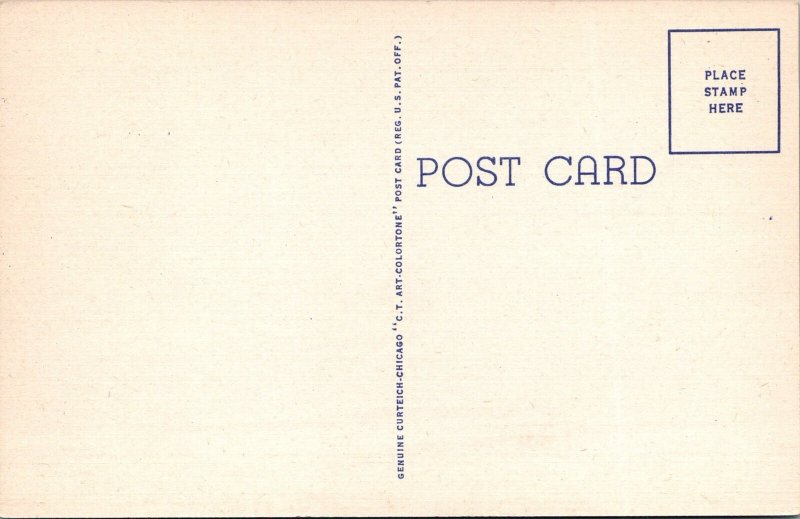 Comic Humor Ray Walters 1950s Speedboat Teich Postcard Risqué JH8