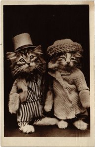PC CATS, TWO CATS IN COSTUMES, Vintage REAL PHOTO Postcard (b46938)