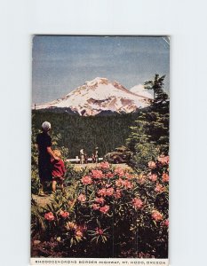 Postcard Rhododendrons Border Highway, Mt. Hood, Oregon