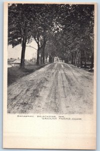 c1910 Green Farms Connecticut CT Vintage Postcard Broadway Beachside Inn Road