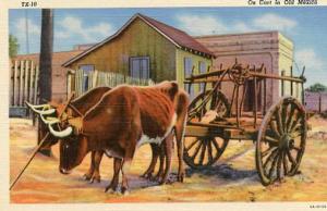 Mexico - Ox Cart & Oxen