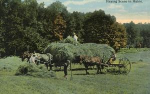 ME - Haying Scene