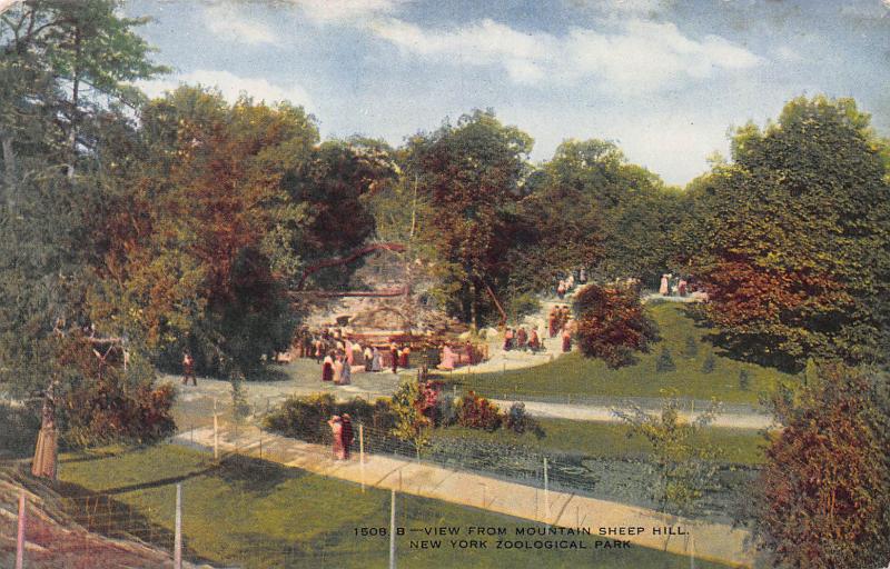 View from Mtn. Sheep Hill, N.Y. Zoological Park, Bronx, Early Postcard, Unused