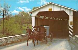 Amish Family Carriage Lancaster, Pennsylvania PA  