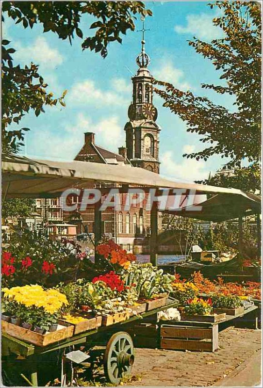 'Postcard Modern Amsterdam Holland''s march to the Singel flower under the ol...