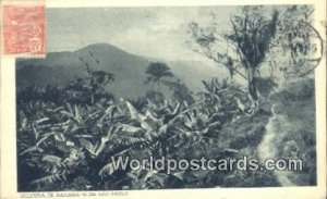 E De Sao Paulo Cultura de Banana Brazil Postcard