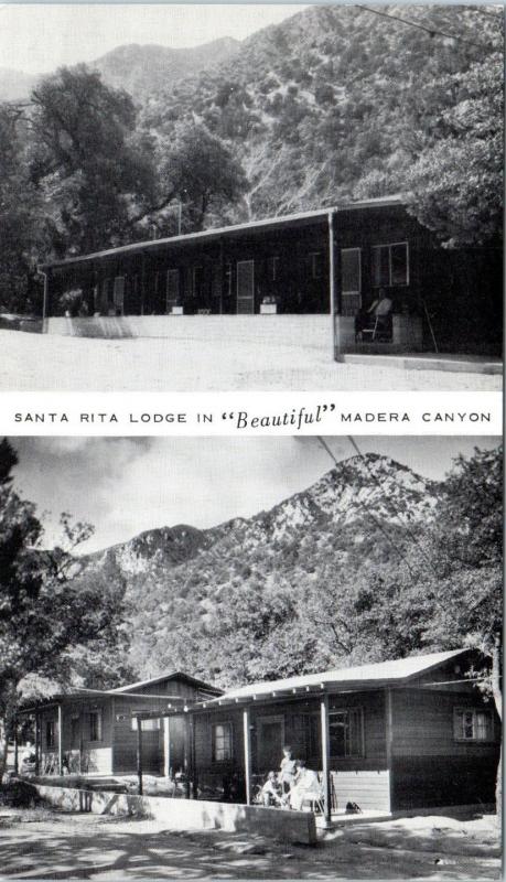 AMADO, AZ Arizona  SANTA  RITA  LODGE  Madera Canyon  c1950s Roadside  Postcard