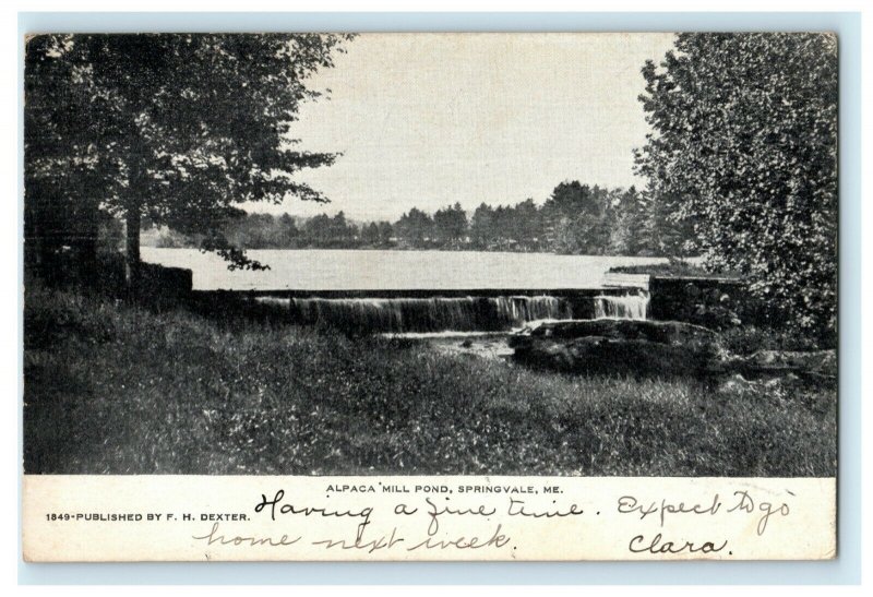 1906 Alpaca Mill Pond Springvale Maine ME Posted Antique Postcard 