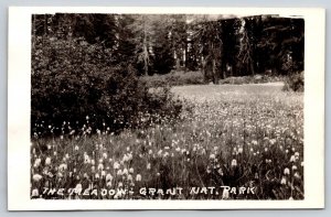 RPPC  St. Louis  Missouri   Grant National Park  The Meadow  Postcard