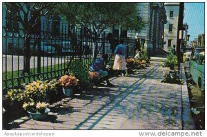 South Carlina Charleston Flower Women