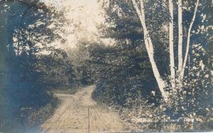 RPPC Birch Trees at Parting of the Ways - Antrim NH, New Hampshire - pm 1912