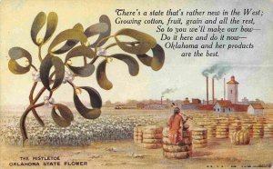 Oklahoma State Flower Mistletoe Cotton Compress OK 1910c postcard