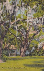 Wesley's Oak Tree on St Simons Island GA, Georgia - Linen