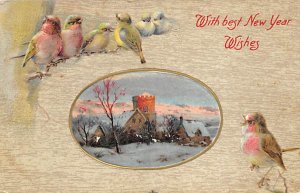With best new year wishes Winter scene with birds D.P.O. , Discontinued Post ...