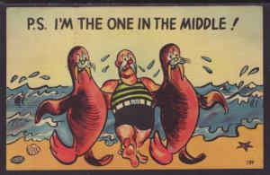 PS I'm the One in the Middle,Man,Walrus,Comic Postcard