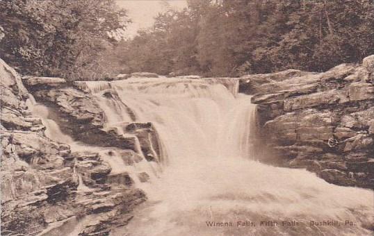 Winona Falls Fifth Falls Bushkill Pennsylvania Albertype