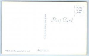 Risque Cheesecake BATHING BEAUTY at Ocean ~ SKIN DIVER c1950s  Postcard