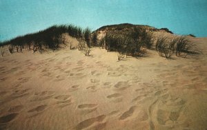 Postcard Beautiful Footprints In The Sand On Outer Cape Cod Massachusetts MA