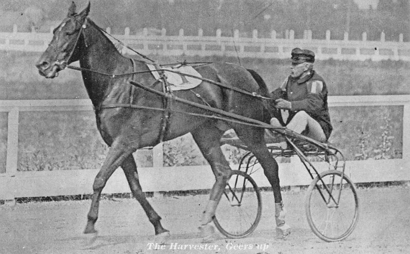 HARNESS HORSE RACING THE HARVESTER GEERS UP NEW YORK POSTCARD c. 1910