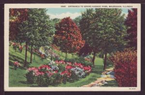 Entrance to Grand Avenue Park Waukegan IL Post Card 3908