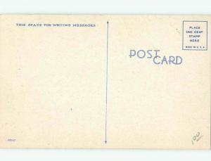 Linen Black Americana BIRD GOOSE CHASING GIRL AC0607