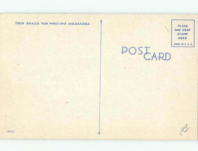 Linen Black Americana BIRD GOOSE CHASING GIRL AC0607