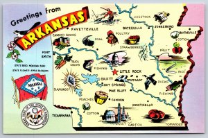 Arkansas State Map~Jonesboro~Monticello~Camden~Ducks~Coal~Cotton~1980 Postcard