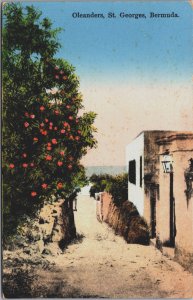 Bermuda Oleanders St Georges Vintage Postcard C133