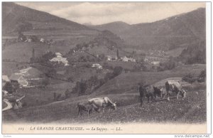 LA GRANDE CHARTREUSE, Isere, France, 1900-1910's; Le Sappey