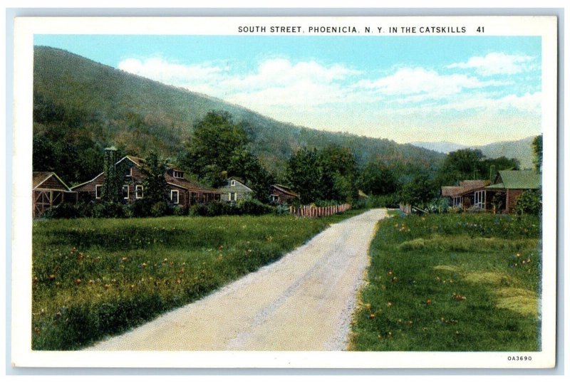c1920's In The Catskills, South Street Phoenicia New York NY Unposted Postcard
