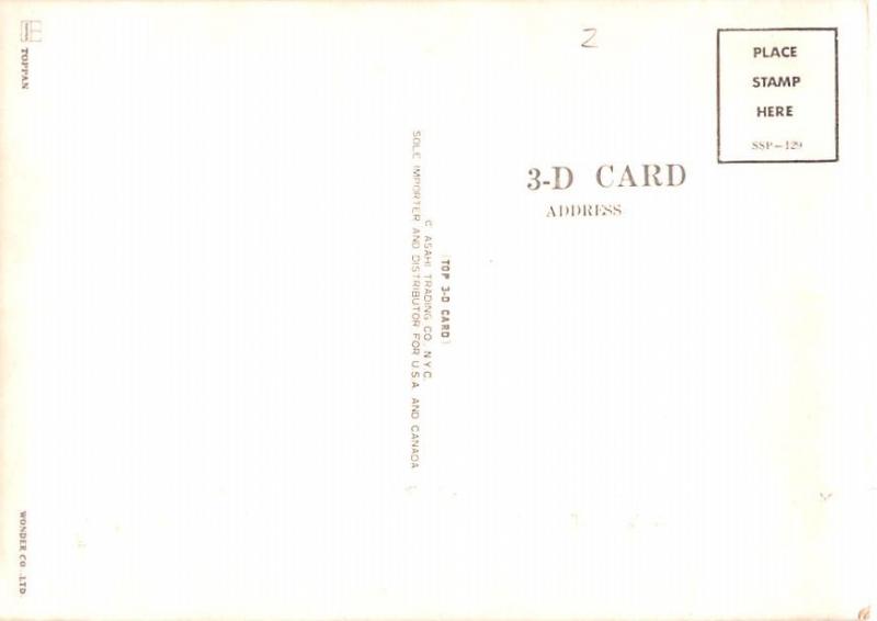 Woodpecker - 3D card