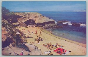 La Jolla California~The Cove ~Standard Chrome Postcard