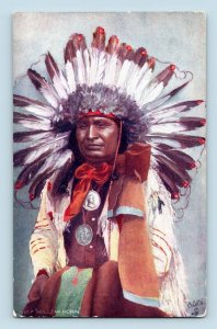 Chief Hollow Horn Raphael Tuck Native American 2171  UNP DB Postcard N10