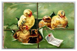 Vintage 1909 Tuck's Easter Postcard Cute Chicks Escape Green Package NICE