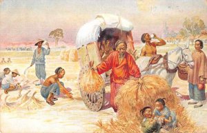 Asia Wheat Rice Farming Scene Vintage Postcard JF685500