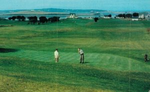 Canada The Golf Course Harbor Entrance at Yarmouth Nova Scotia Postcard 07.74