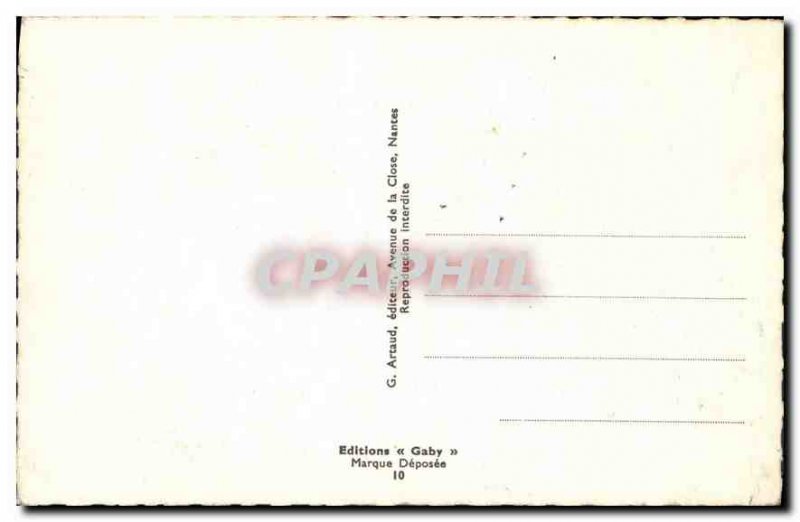 Old Postcard Remembrance Dax Flowers